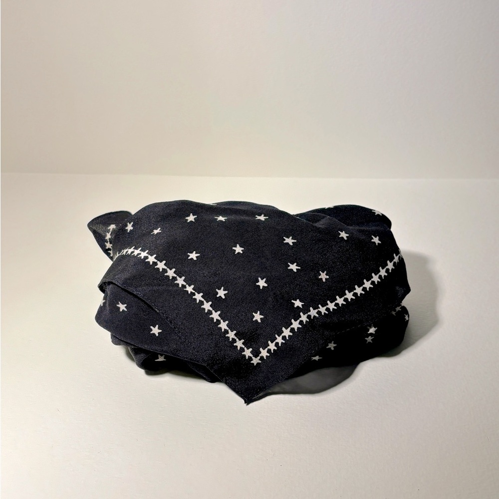 Madewell silk bandana